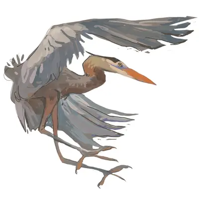 heron i.PNG